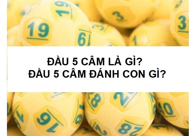 Một số kinh nghiệm soi Đầu 5 Câm đánh lô đề như cao thủ